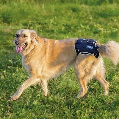 Balto Tutore per Displasia Anca BT Life Balto Tutore per Displasia Anca BT Life