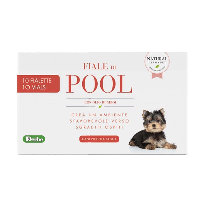 Derbe Fiale di Pool Cani Piccola Taglia