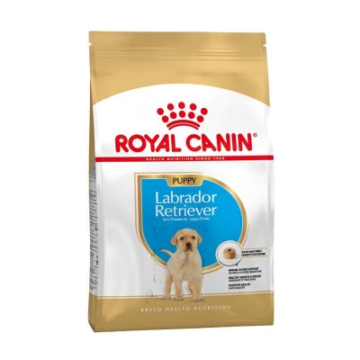 Royal Canin Puppy Labrador Retriever