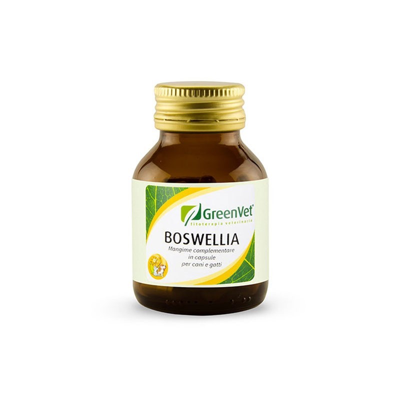 GreenVet Boswellia