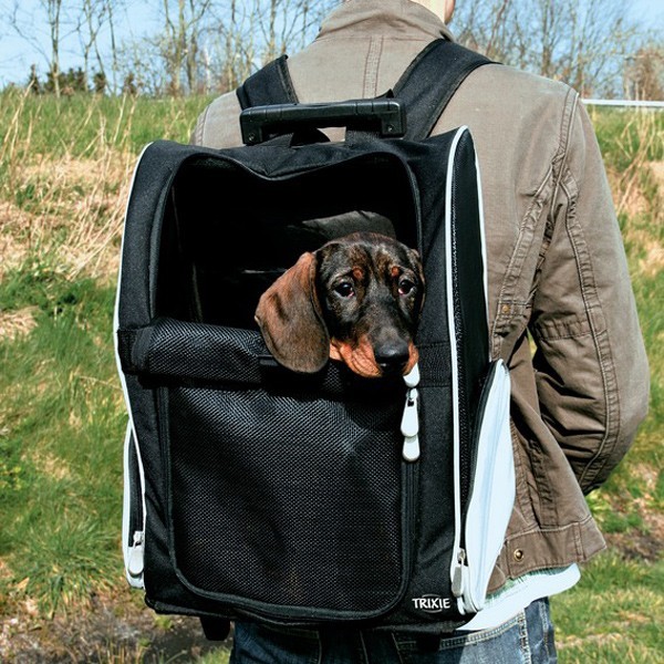 Zaino trolley per cani sales