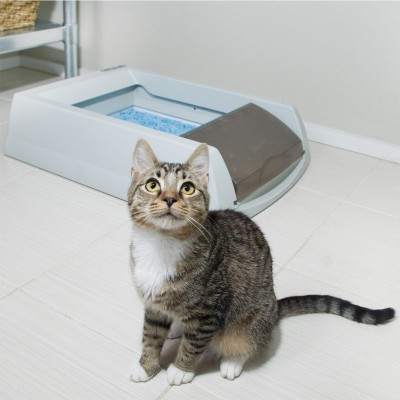 PetSafe Lettiera Self Cleaning ScoopFree