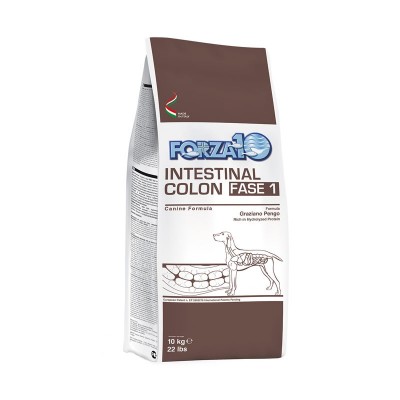 Forza10 Intestinal Colon Fase 1