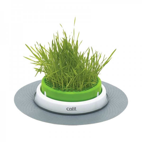 Catit Senses 2.0 Grass Planter per Gatti