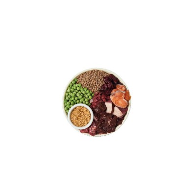 Lily's Kitchen Dog Wild Woodland Walk con Anatra, Salmone e Cervo Lily's Kitchen Dog Wild Woodland Walk con Anatra, Salmone e Cervo