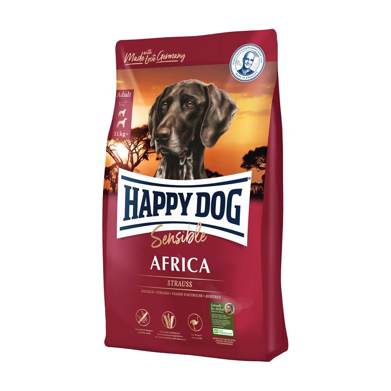 Image of Happy Dog Adult Sensible Africa