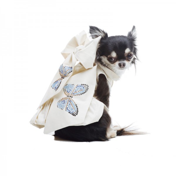 Inamorada The Butterflies Dress | Robinson Pet Shop
