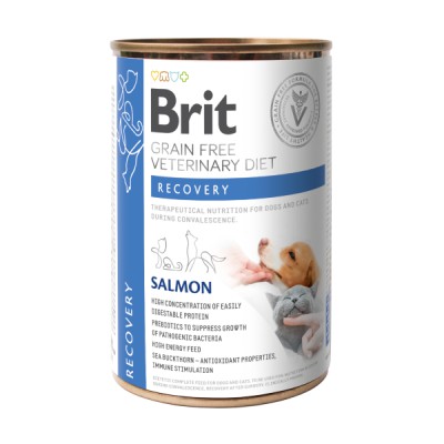 Brit Veterinary Diet Recovery Salmone per Cani