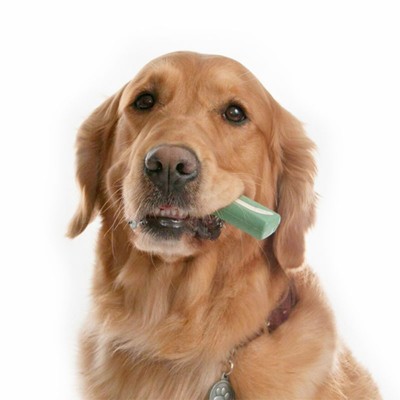 Oravet Gum Pulizia Denti per Cani
