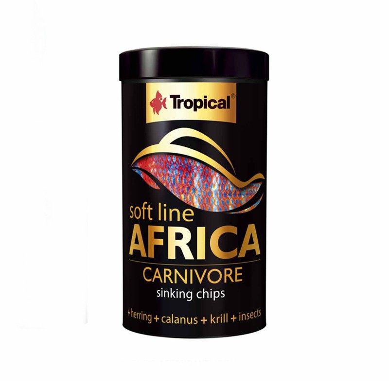 Tropical Africa Carnivore