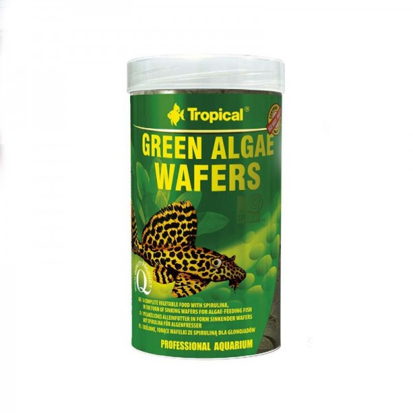 Tropical Green Algae Wafer