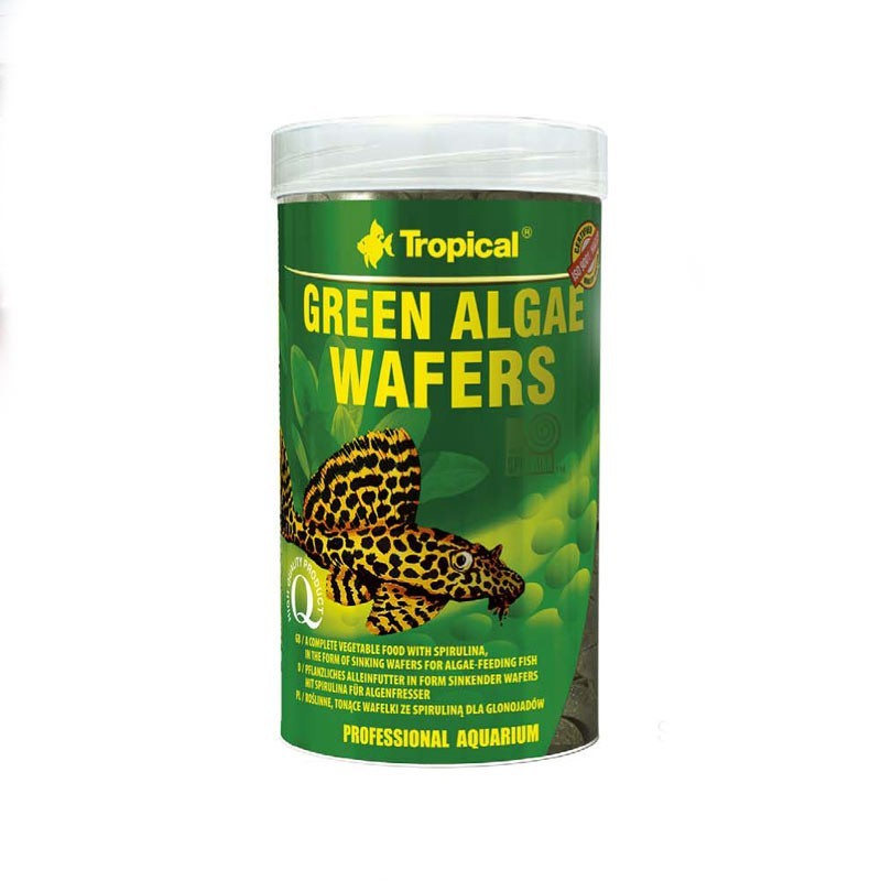 Tropical Green Algae Wafer