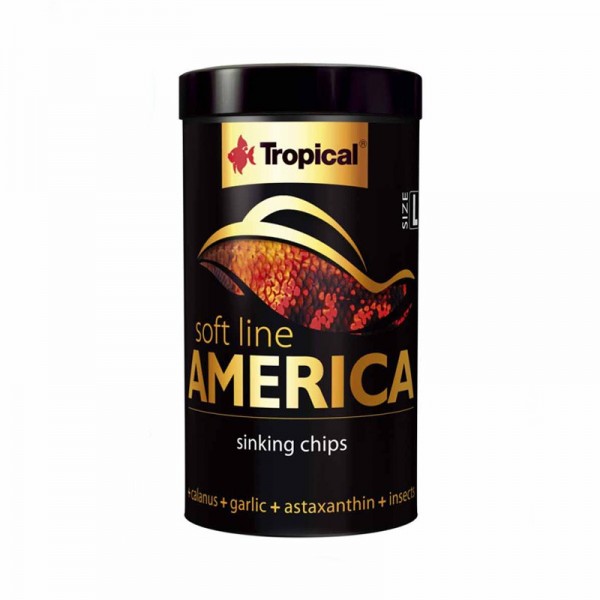 Tropical Soft Line America in Chips