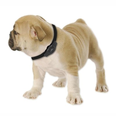 SISTEMA DI LOCALIZZAZIONE EYENIMAL GPS DOG TRACKER 