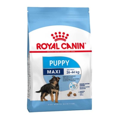 Royal Canin Maxi Junior Secco