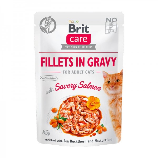 Brit Care Filetti con Salmone in Salsa per Gatti