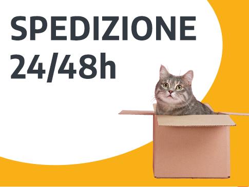 BANNER SPEDIZIONE 