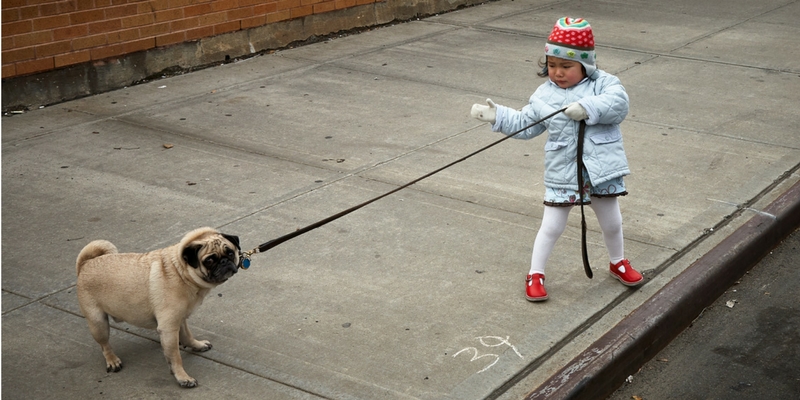 Cani e bambini: regole d’oro per una felice convivenza cover