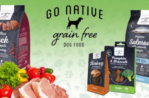 Go Native, la freschezza nella ciotola thumb