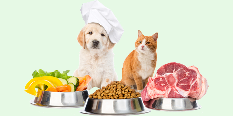 Sai davvero cosa mangiano il tuo cane e il tuo gatto? cover
