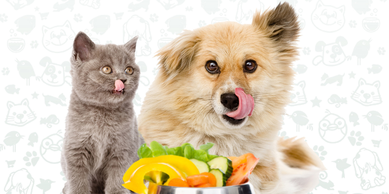 Frutta e verdura negli alimenti per cani e gatti: si o no? cover