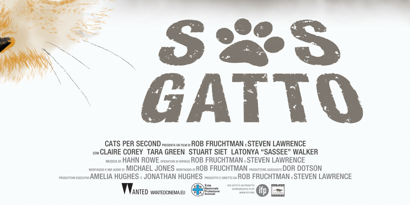 S.O.S. GATTO: il film che racconta la vita di chi si prende cura dei gatti senza famiglia cover