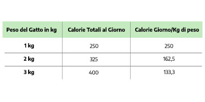 Calcolo calorie gatto