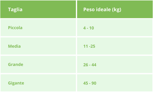 Peso ideale cane sterilizzato tabella